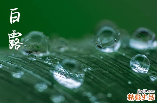 2023年白露气温大概多少度