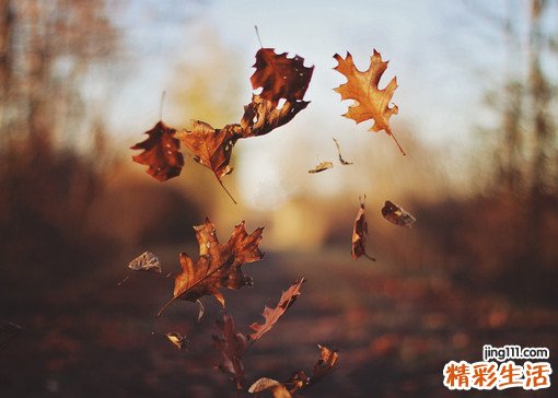 食指半月甲呈粉红色是怎么回事？