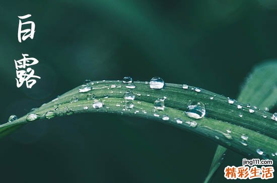 2023今年白露是几月几日几点