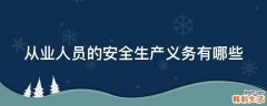 从业人员的安全生产义务有哪些