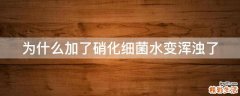 为什么加了硝化细菌水变浑浊了