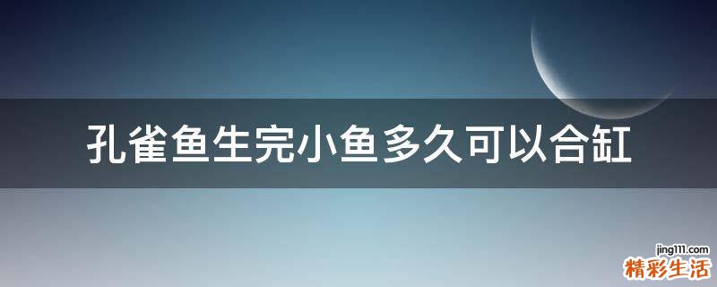 孔雀鱼生完小鱼多久可以合缸