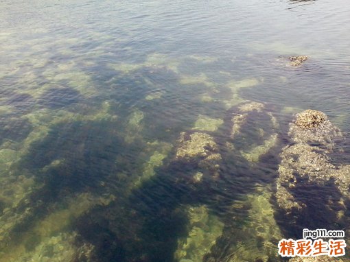 听觉障碍是怎么回事？