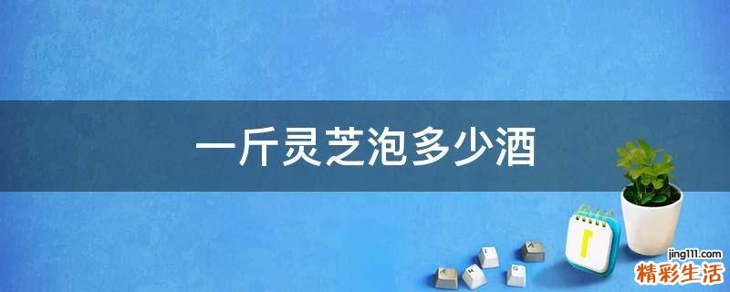 一斤灵芝泡多少酒