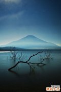 7 宽筋藤
