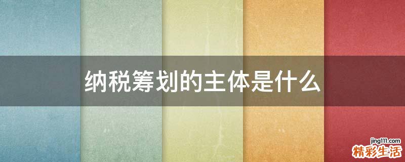 纳税筹划的主体是什么