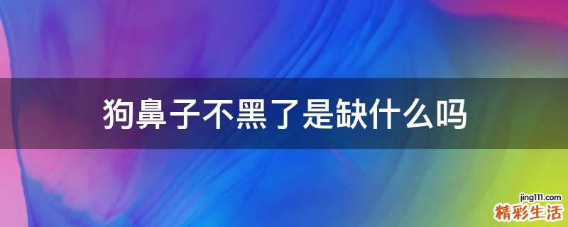 狗鼻子不黑了是缺什么吗