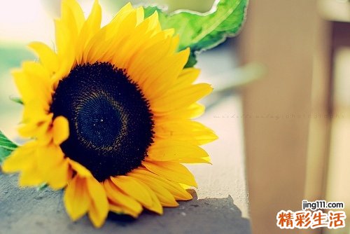 宫颈糜烂怎么治疗最好