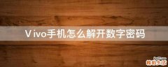 Ⅴivo手机怎么解开数字密码