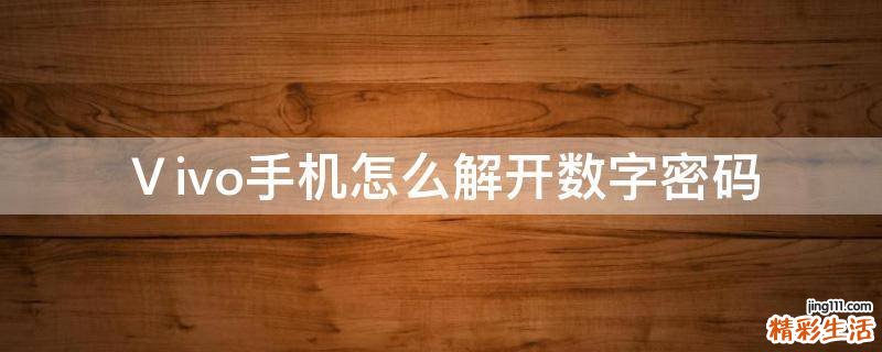 Ⅴivo手机怎么解开数字密码