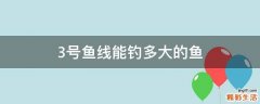 3号鱼线能钓多大的鱼