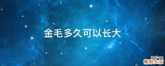 金毛多久可以长大