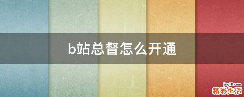 b站总督怎么开通