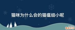 猫咪为什么会的猫瘟细小呢