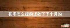 花呗怎么提前还款下下个月的