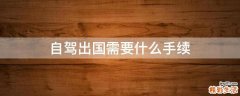 自驾出国需要什么手续