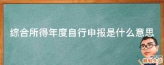 综合所得年度自行申报是什么意思