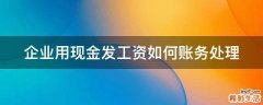 企业用现金发工资如何账务处理