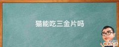 猫能吃三金片吗