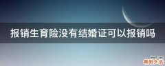 报销生育险没有结婚证可以报销吗