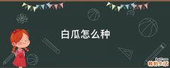 白瓜怎么种