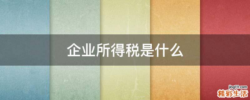 企业所得税是什么