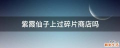 紫霞仙子上过碎片商店吗