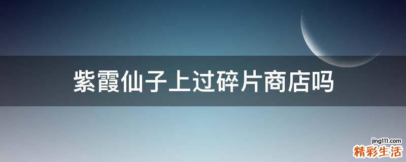 紫霞仙子上过碎片商店吗