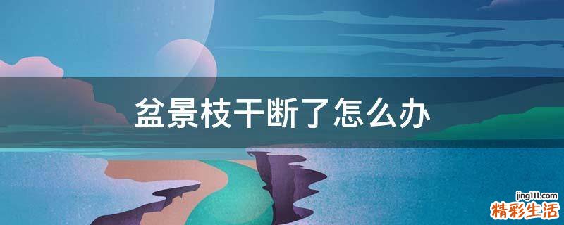 盆景枝干断了怎么办