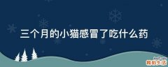 三个月的小猫感冒了吃什么药