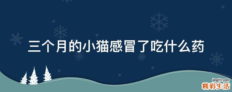 三个月的小猫感冒了吃什么药