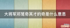 大将军邓骘奇其才的奇是什么意思