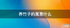 养竹子的寓意什么