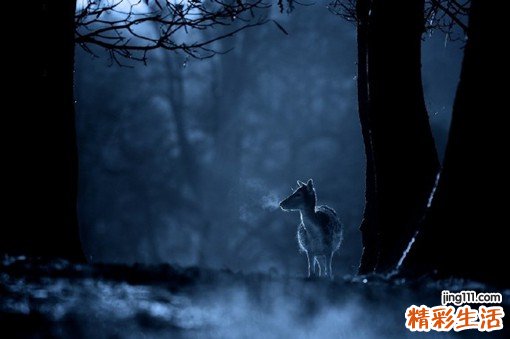 红斑性肢痛症怎么治疗