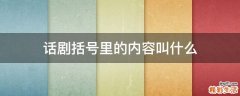 话剧括号里的内容叫什么