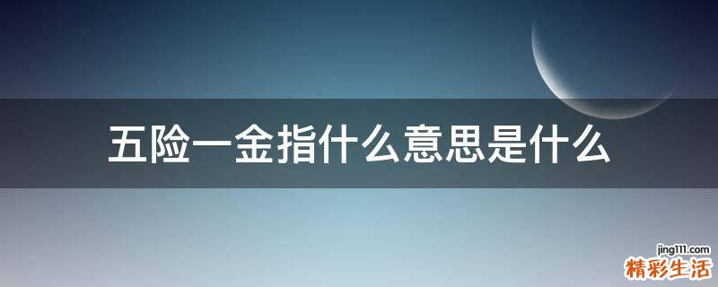 五险一金指什么意思是什么