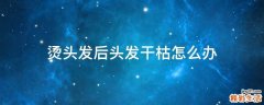 烫头发后头发干枯怎么办