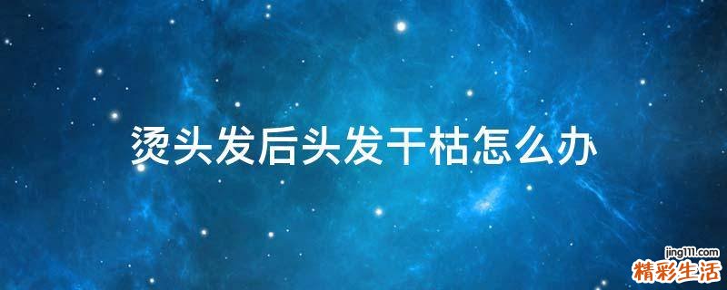 烫头发后头发干枯怎么办