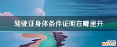 驾驶证身体条件证明在哪里开