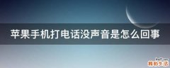 苹果手机打电话没声音是怎么回事