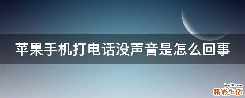 苹果手机打电话没声音是怎么回事