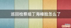 巡回检察组丁海峰脸怎么了