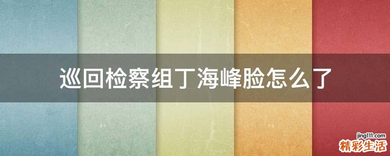 巡回检察组丁海峰脸怎么了
