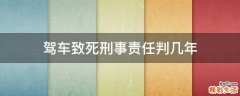 驾车致死刑事责任判几年