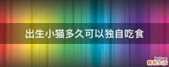 出生小猫多久可以独自吃食