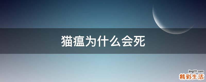 猫瘟为什么会死