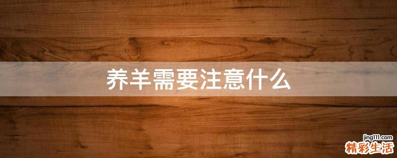 养羊需要注意什么