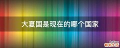 大夏国是现在的哪个国家