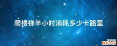 爬楼梯半小时消耗多少卡路里