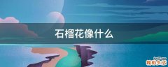 石榴花像什么
